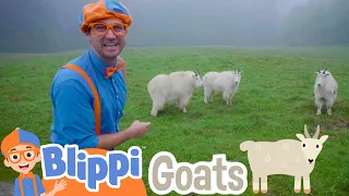 Blippi Explores A Wildlife Park | Learning Animals For Kids