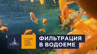 Очистка ВОДОЕМОВ. Способы фильтрации воды. Скиммеры и биоплато.