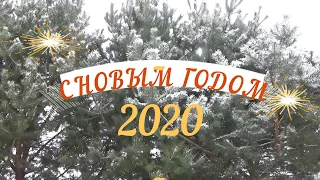 С НОВЫМ 2020 ГОДОМ, ДРУЗЬЯ ! Чудо к Новому Году! Том поздравляет!