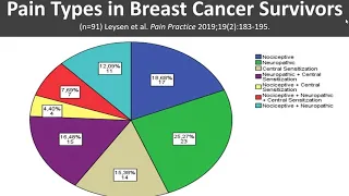 Explaining Pain Following Cancer- Vlog by Prof. Jo Nijs