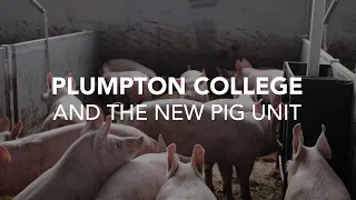 Plumpton College: The New Pig unit