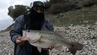 23 inch BIG BASS caught fishing COYOTE LAKE