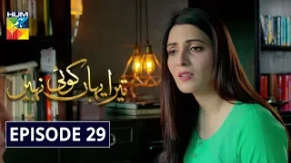 Tera Yahan Koi Nahin Episode 29 HUM TV Drama 7 April 2020