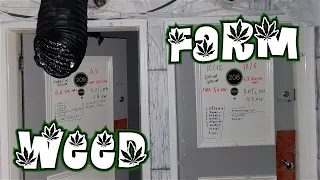 Cannabis Farm Found in UK Hotel - Abandoned Urbex Scotland