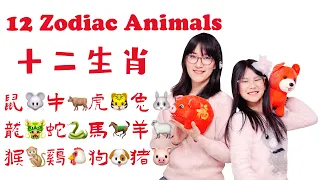 12 Zodiac Animals in Chinese|中文学习：十二生肖中文课|Mandarin learning for Children|Chinese lesson for kids