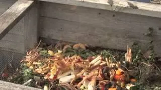 Composting: Troubleshooting Issues