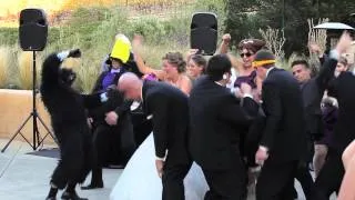 Harlem Shake Wedding Entrance