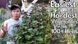 Easiest & Hardest Vegetables to Grow in 100+ Summer Garden Heat