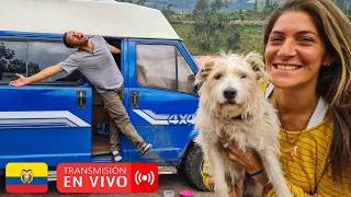 🐶 can't take it anymore 🤣 | A live out there in #Ecuador