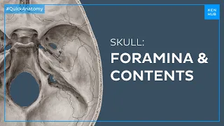 Skull foramina and contents - Quick Anatomy | Kenhub