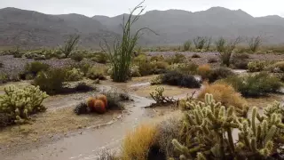 Exploring Desert Rain / Flash Flood (making of)
