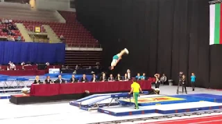 DMT Mens Final - World Championship 2017