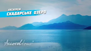 Черногория Скадарское озеро: ТОП 7 Интересные факты | Аккорд-тур отдых и экскурсии в Черногории