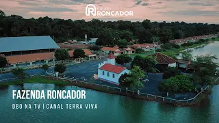 DBO na TV | A Fazenda Roncador | Canal Terraviva