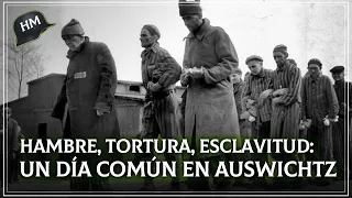 La vida de los PRISIONEROS en los CAMPOS de CONCENTRACIÓN de la Alemania Nazi