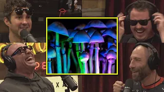 Joe Rogan: LOL "We Might Have Ate Too Many Mushrooms"