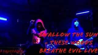 Swallow the Sun - These woods breathe evil Live - Salt Lake City In the Venue 03/23/19