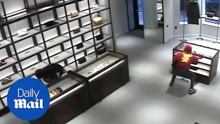 Shoplifting team robs Chicago boutique store in broad daylight