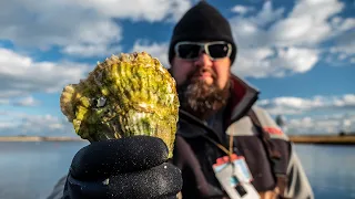 Harvesting Oysters | Catch, Clean, Cook | Living off the Land and Sea #6