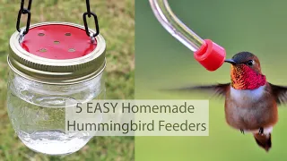 5 EASY DIY Homemade Hummingbird Feeders