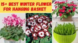 15+ best winter flower plant for Hanging basket | टोकरी में चलने वाले सर्दीयों के फूलों वाले पौधे