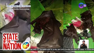 5 lalaking nanghuhuli ng endangered na flying fox, arestado | SONA