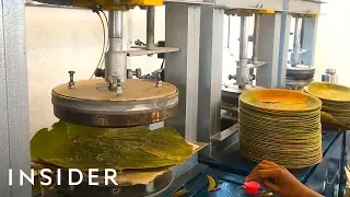 How Leaves Are Made Into Biodegradable Plates