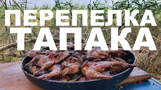 ПЕРЕПЕЛКА ТАПАКА НА ДРОВЯНОЙ СКОВОРОДЕ ОХОТА НА КУБАНИ РЕЦЕПТЫ СЮФ