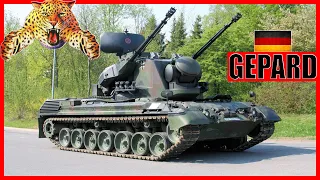 Немецкая зенитная установка GEPARD: что за зверь?