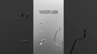 Rigging and fishing a Tokyo Rig for bass. A step by step guide. #bassfishing #fishingtips