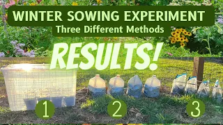 Winter Sowing Experiment RESULTS Are In‼️Winter Sowing Experiment 3 DIFFERENT Methods Reveal 🌱🏅