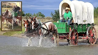 🐎 Rookie Horses TAKE OFF with Covered Wagon! 😱 | Old West Horse & Covered Wagon on MT Wagon Train