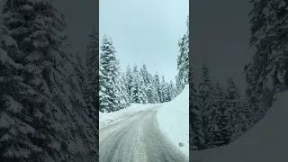 Kar ve Bolu. Aladağlar da araç sürüşü.