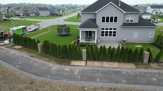 Massive Landscape Install! 8’ Tall Arborvitae Privacy Fence