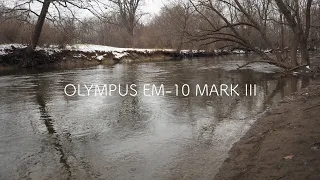 Olympus E-M10 Mark iii in 2022 (For Hybrid Shooters)