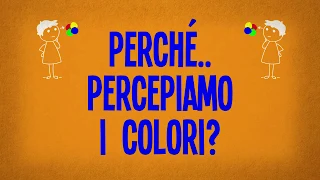 Perché percepiamo i colori?