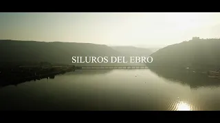 SILUROS DEL EBRO - na tropie gigantów