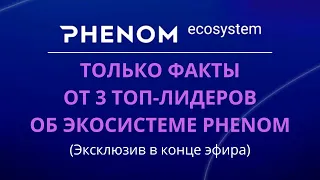 Phenom Ecosystem - Только факты!