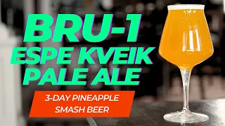 Brewing a 3-DAY PINEAPPLE PALE ALE with BRU-1 HOPS and ESPE KVEIK!!