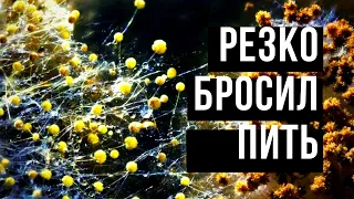 🍷🍸🍼 Что будет если резко бросить пить?🍺🍹Мой опыт. История из моей жизни.