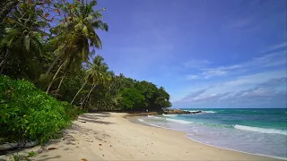 Escape to Bali | 2 Hours of Mesmerizing Wave Sounds