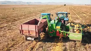 DURMADAN BOŞALTMALI KABAK ÇEKİRDEĞİ HASAT MAKİNASI