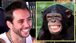 Jordi Wild explicando por qué los chimpancés son unos hijos de pu...