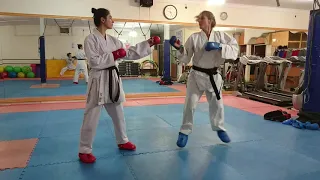 LEG TECHNIQUES TRAINING in Kumite, performing by Sensei Mitra momeni