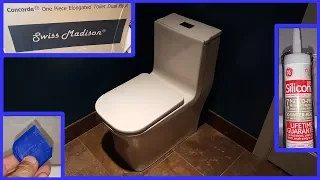 How To Install a Toilet. One Piece Swiss Madison Concorde Toilet. Замена унитаза