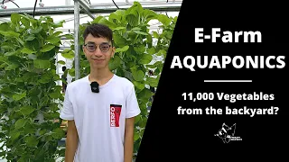 E-Farm Aquaponics Malaysia | 11,000 Vegetables from the backyard in Cheras KL?
