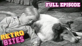 Lassie | The Crash | Full Episodes  🐕