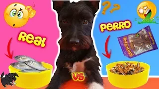 COMIDA DE PERRO VS HUMANA / Reto Lana