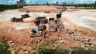Ep121.Amazing! Good Activity Clearing Mud & Land Filling Process By #Trucks & #Dozers Showing Skills