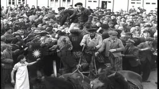Inmates of a concentration camp try to get food in Mauthausen, Austria during Wor...HD Stock Footage